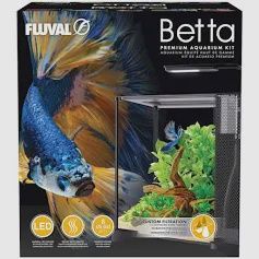 Betta Tanks