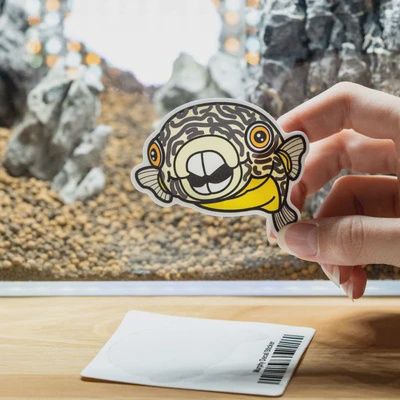 Aquarium Co-Op Murphy Sticker