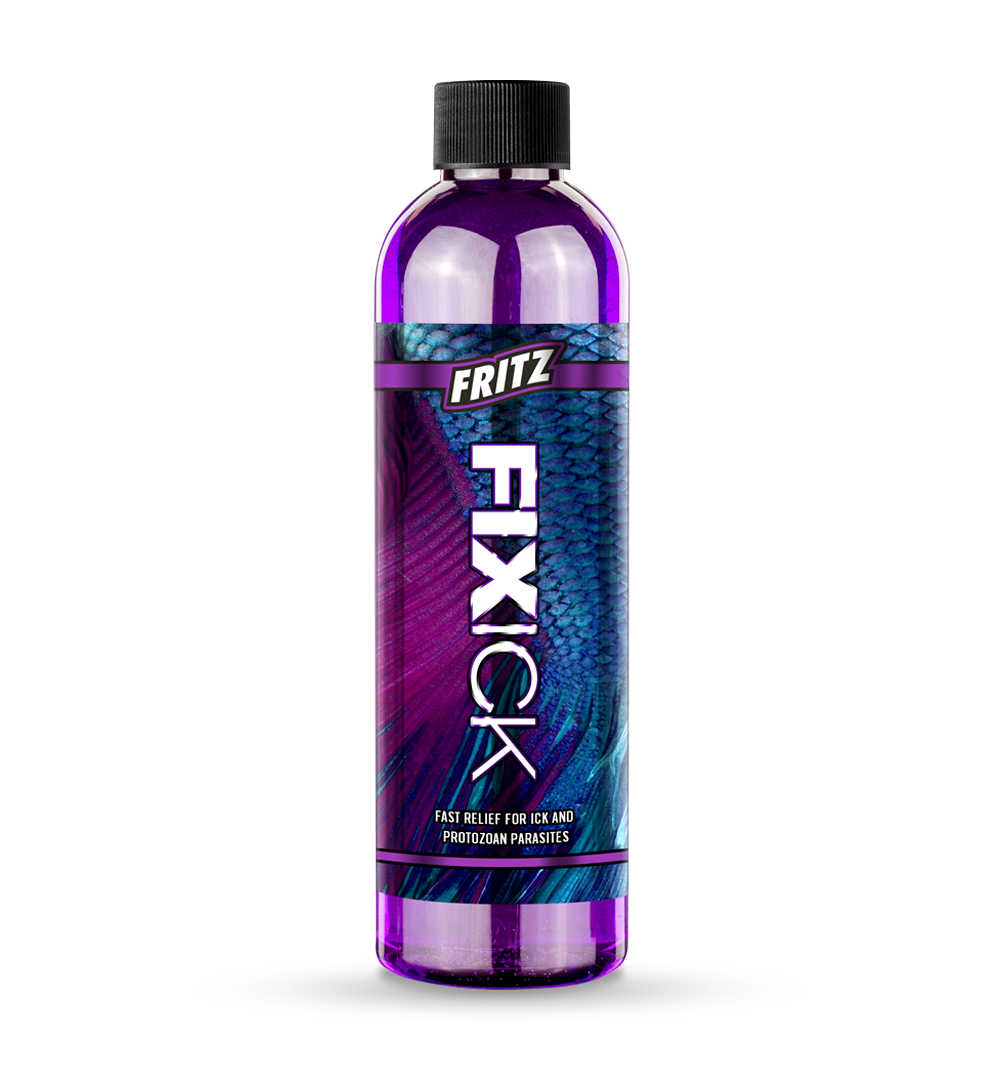 Fritz FixIck 16oz