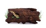 Seachem Aquavitro Ceramic Hide L2