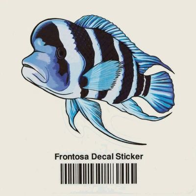 Aquarium Co-Op Frontosa Sticker