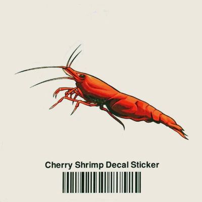 Aquarium Co-Op Cherry Shrimp Sticker