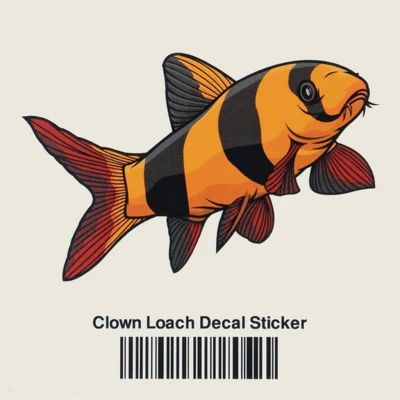 Aquarium Co-Op Clown Loach Sticker