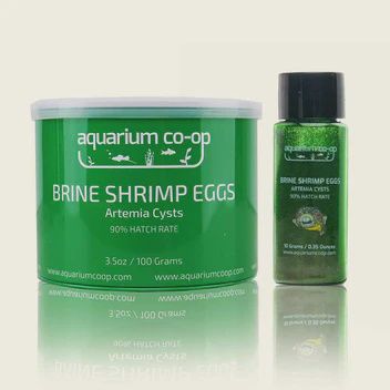 Aquarium Co-Op Brine Shrimp Eggs