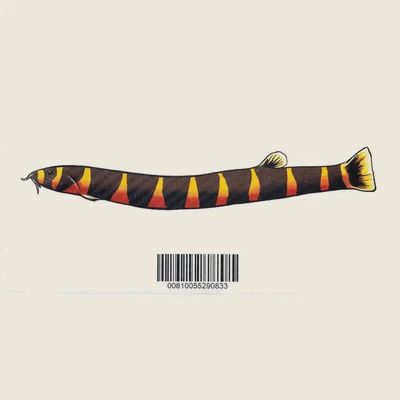 Aquarium Co-Op Kuhli Loach Sticker