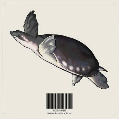 Aquarium Co-Op Fly River Turtle Sticker