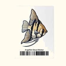 Aquarium Co-Op Angelfish Sticker