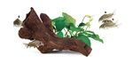 Seachem Aquavitro Ceramic Hide B2