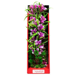 Aquatop Vibrant Violet 16"