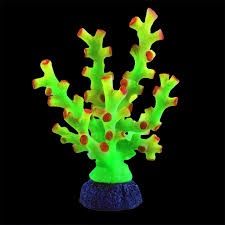 Underwater Treasures Octo Coral Green