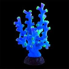 Underwater Treasures Octo Coral Blue