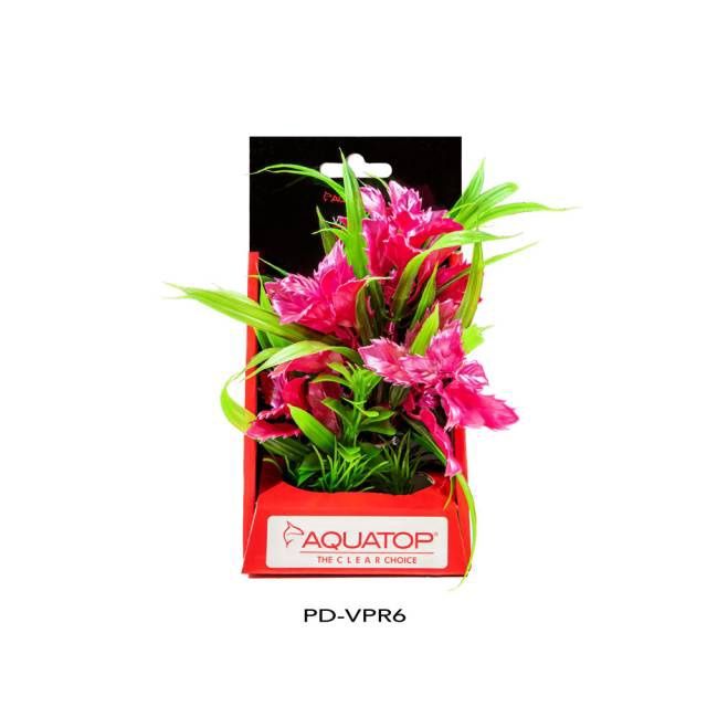 Aquatop Passion Rose 6"