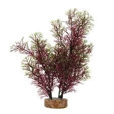 Hagen Red/Green Foxtail 8"