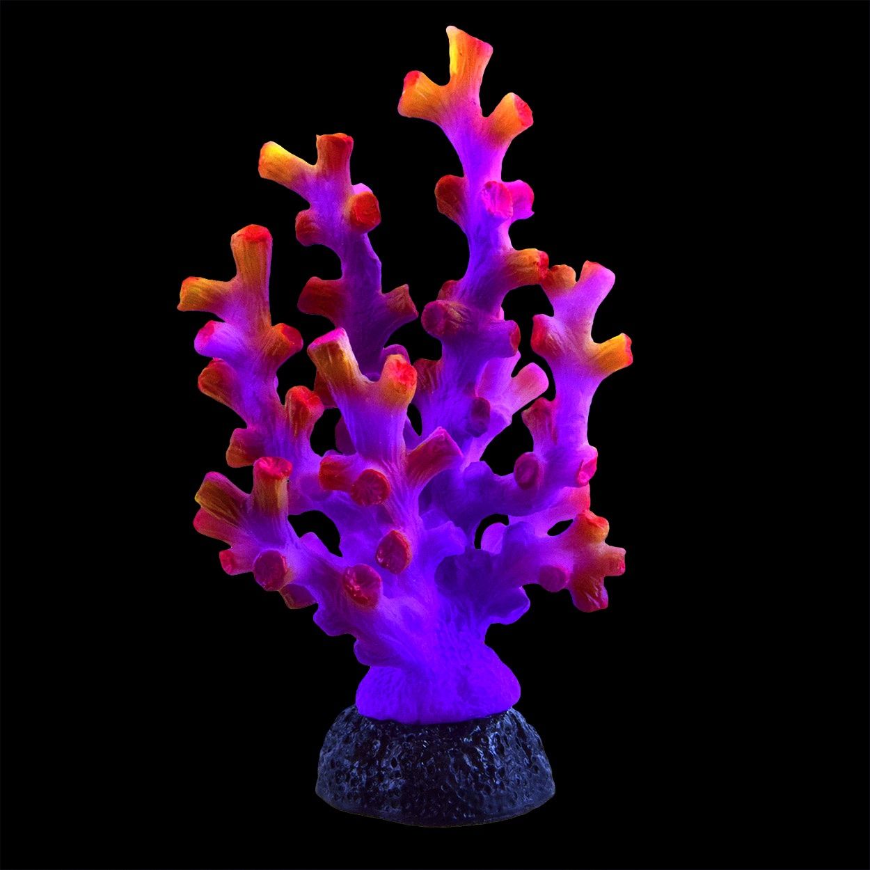 Underwater Treasures Octo Coral Purple