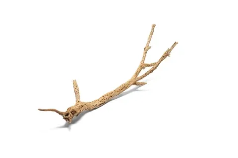 UNS Cholla Driftwood Tree Med