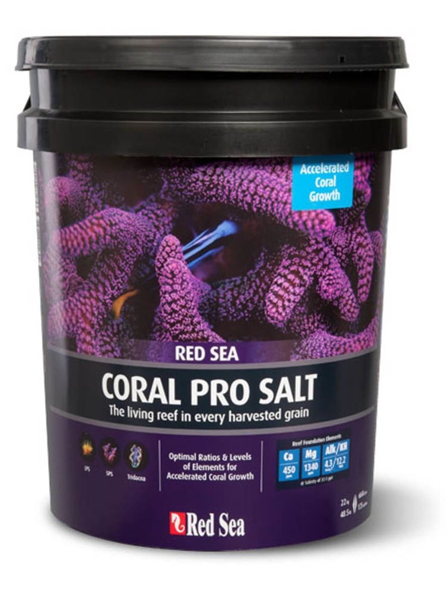 Red Sea Coral Pro Salt 175g Bucket