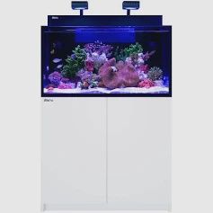 Red Sea Max Nano XXL 53g W/ White Stand