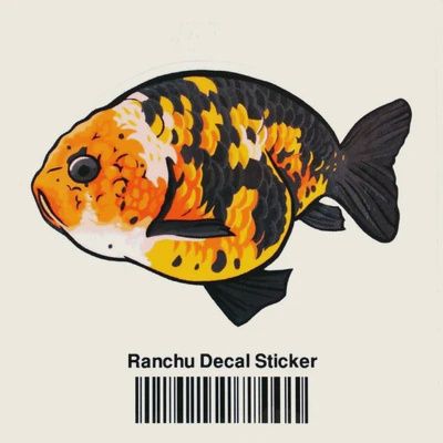 Aquarium Co-Op Ranchu Sticker