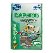 Hikari Frozen Daphnia Cube 3.5oz