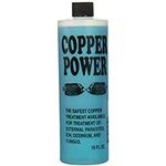 Copper Power Blue 16oz SW