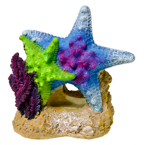 Blue Ribbon Exotic Ornaments - Sea Star Duo with Plant