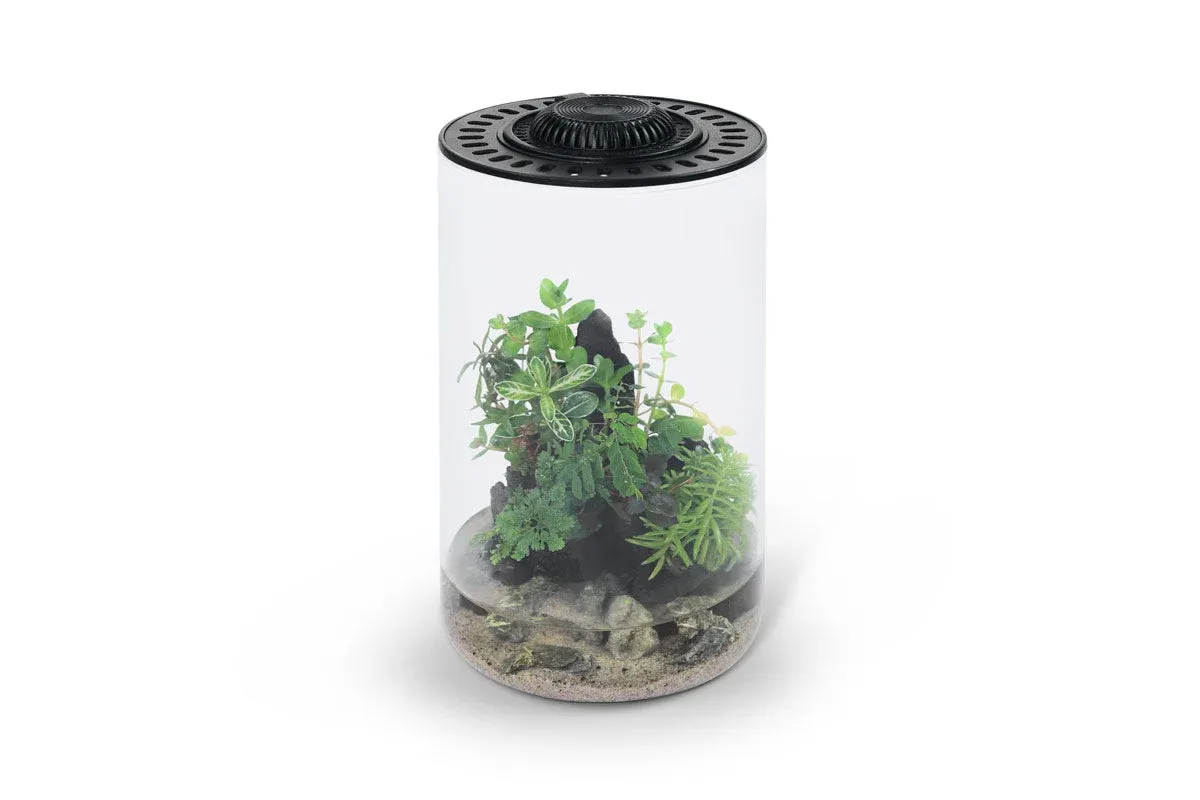 Bio Cylinder 150 DIY Terrarium Kit