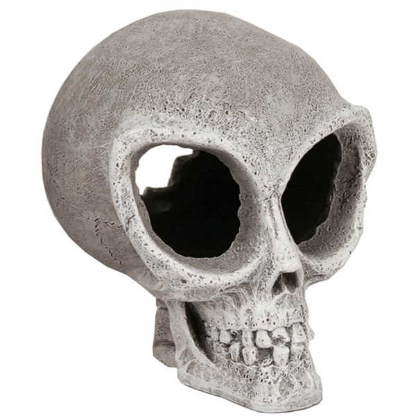 Blue Ribbon Exotic Ornaments  Alien Skull Small