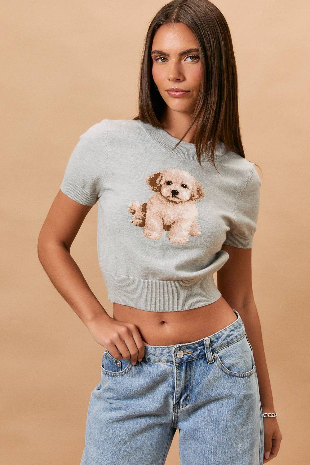 "GOLDEN DOODLE" SHORT SLEEVE CREW NECK SWEATER TOP, Color: H GREY, Size: L
