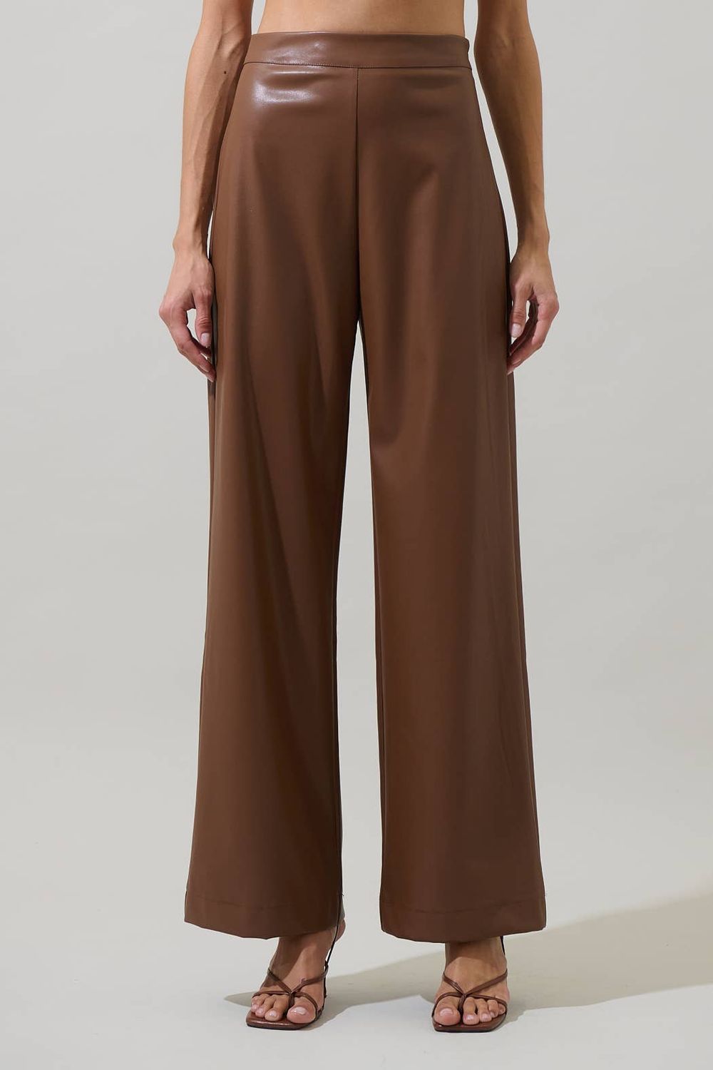 Anisa Faux Leather Bern Wide Leg Pants, Color: Brown, Size: L