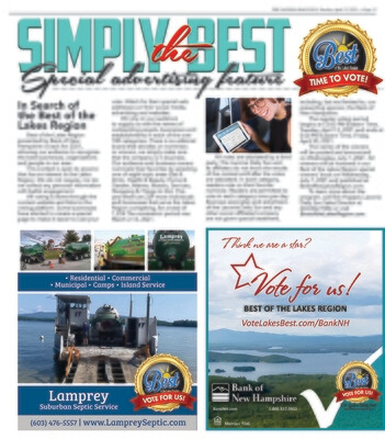 Laconia Daily Sun Voting Promo Pages - Quarter Page