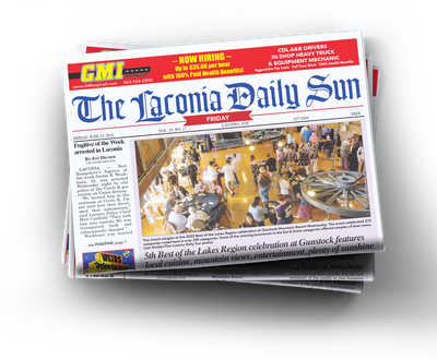 Laconia Daily Sun Voting Promo Pages - Half Page