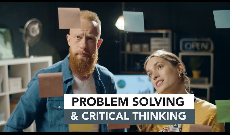 AVEFLIGHT Digital License — Professional Reasoning and Problem Solving: 11 Modules, 93 Video Lessons