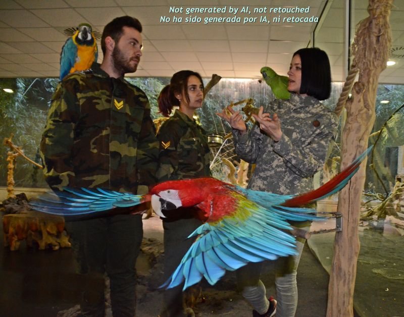 AVEFLIGHT Digital License — Family Psittacidae: Care, Feeding, Breeding, Physiology, and Animal Welfare