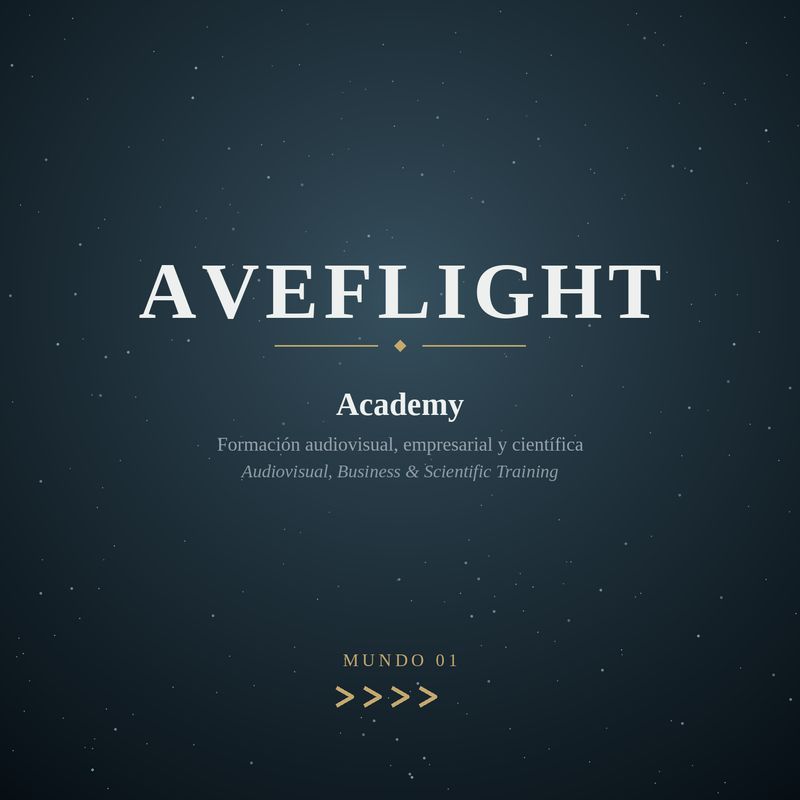 AVEFLIGHT Academy — Audiovisual, Business &amp; Scientific Training