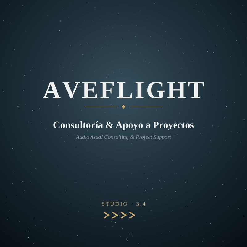 Audiovisual Consulting &amp; Project Support 3.4