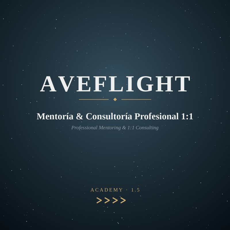 Professional Mentoring &amp; 1:1 Consulting (cap 1.5)