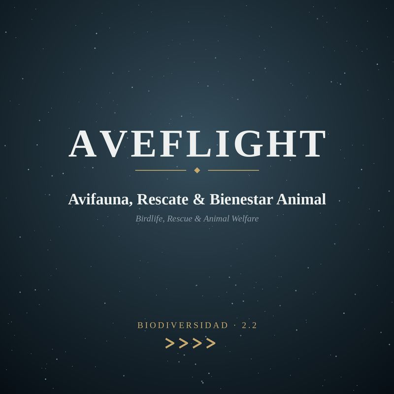Birdlife, Conservation &amp; Animal Welfare 2.2