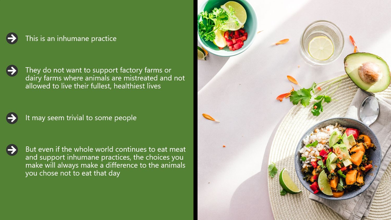 Vegan Lifestyle Video Training – Part 2: What Is a Vegan Lifestyle?