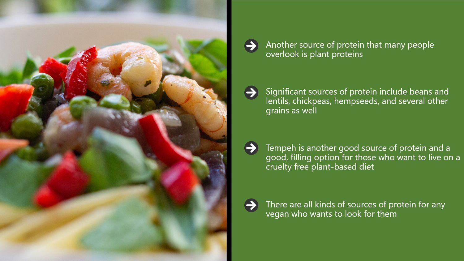 Vegan Lifestyle Video Training – Part 5: Plant-Based Protein