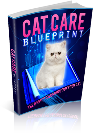 Cat Care Blueprint: Basic Guide to Caring for Your Cat