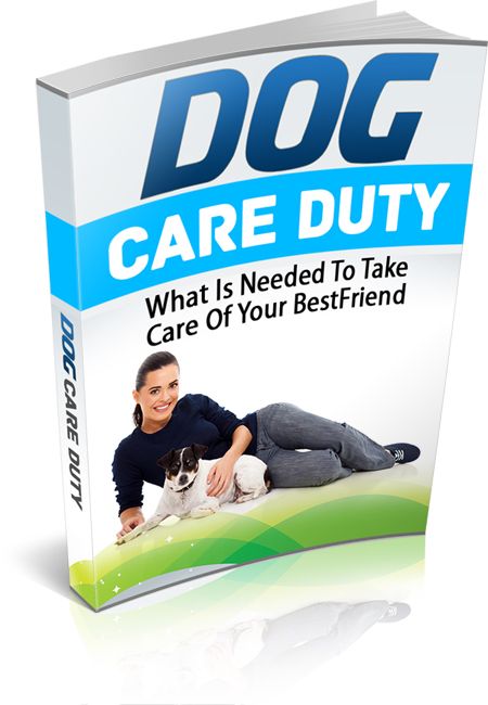 Dog Care Duty: Beginner’s Guide to Basic Dog Care Responsibilities