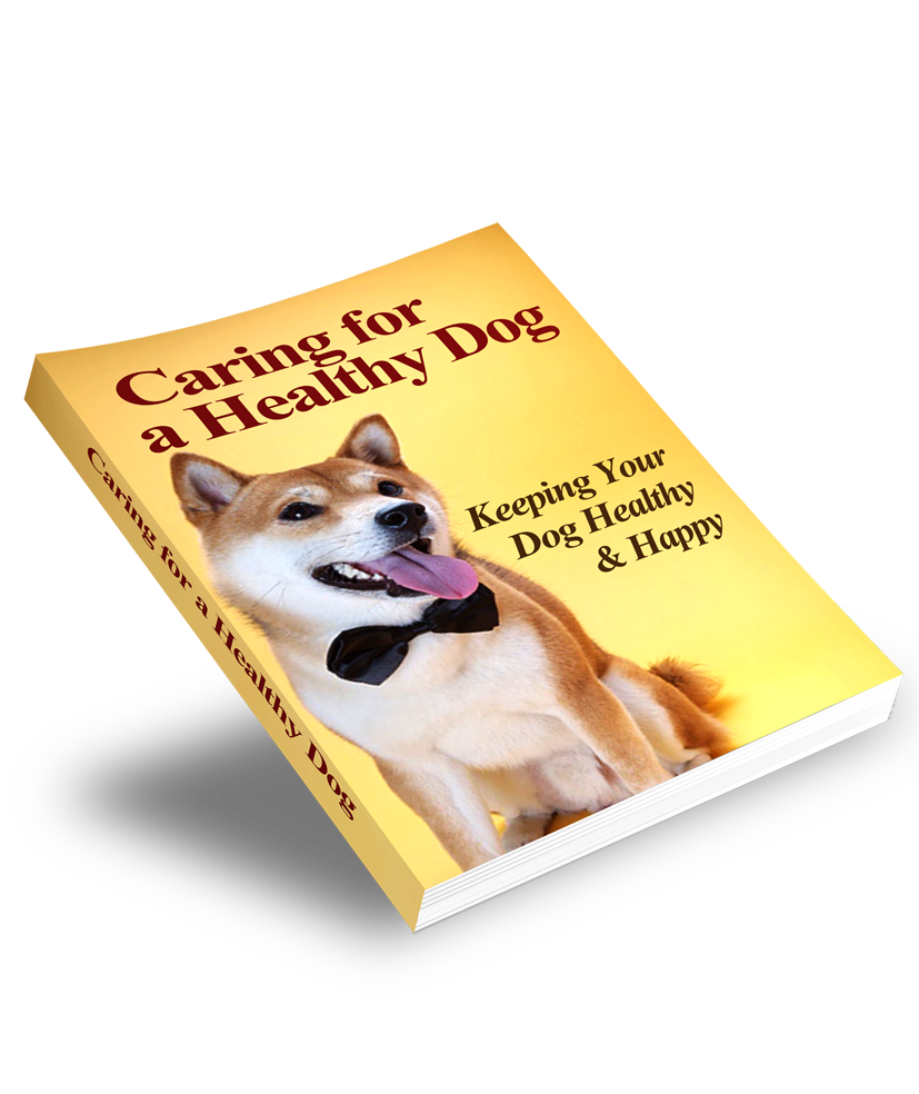 Dog &amp; Pet Care Starter Series – Part 1: Caring for a Healthy Dog
