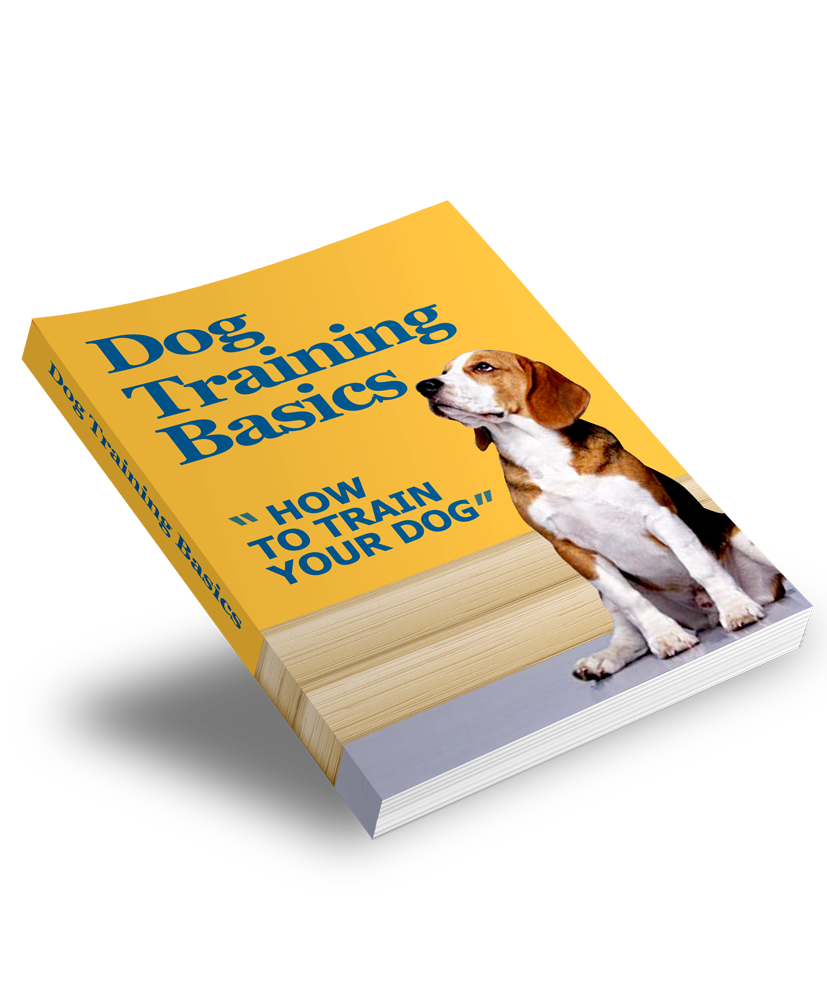 Dog &amp; Pet Care Starter Series – Part 3: Dog Training Basics