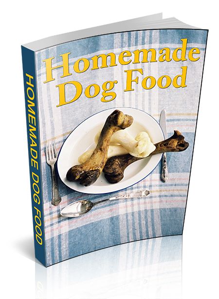 Healthy Homemade Dog Food Guide: Feeding Basics, Recipes &amp; Safety Tips