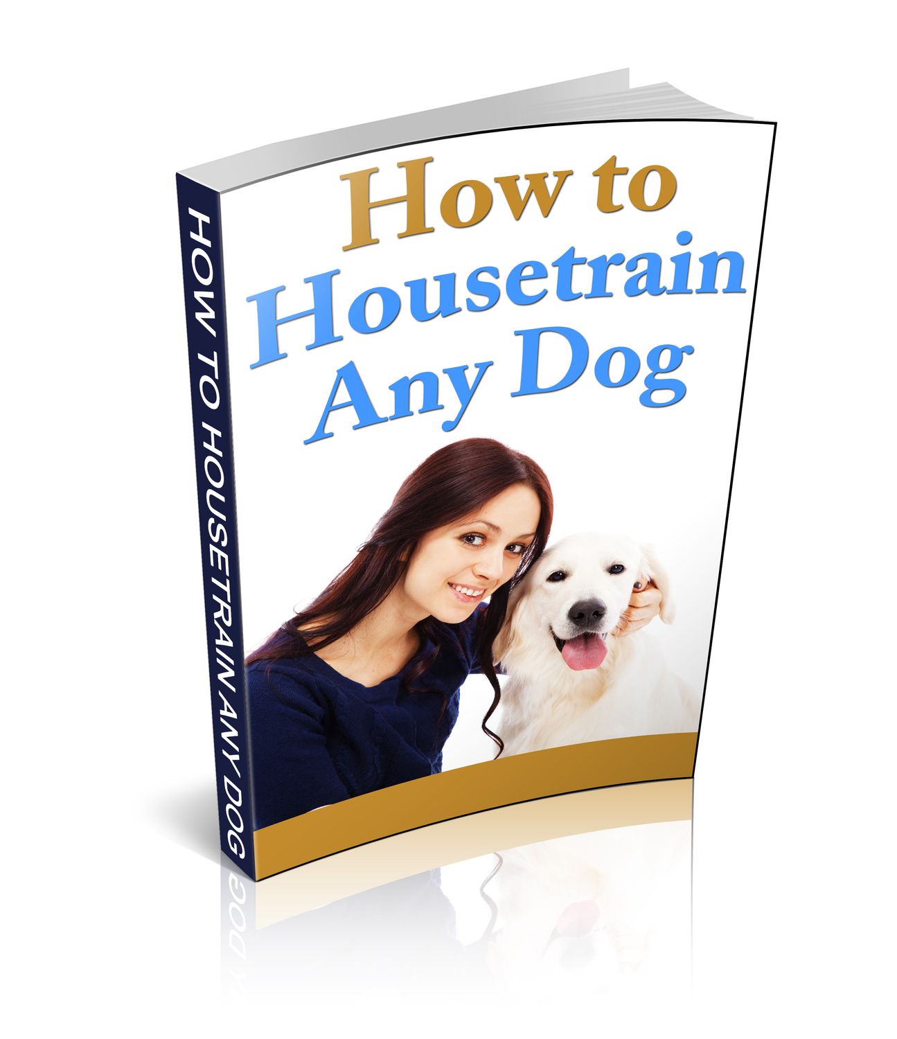 How to Housetrain Any Dog: Crate Training, Toilet Training &amp; Basic House Manners
