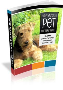 How to Pick a Pet for Your Child: Family Guide to Choosing the Right Animal Companion