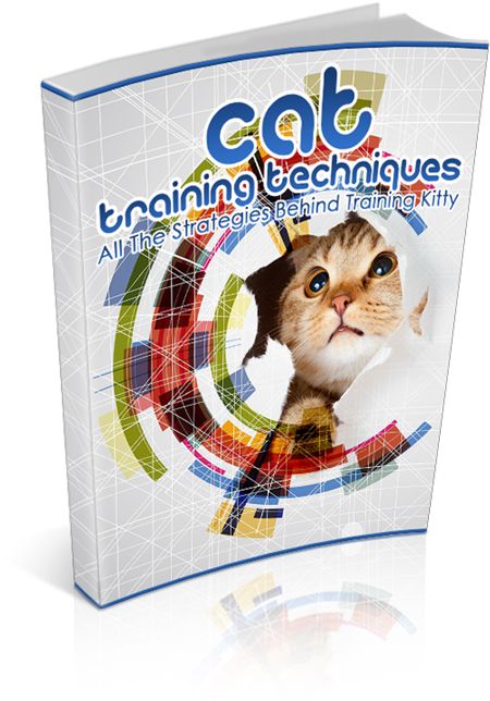Cat Training Techniques: Short Guide to Behavior, Discipline &amp; Safety Basics