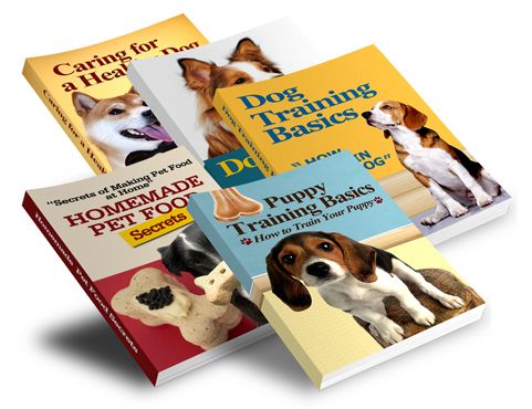Dog &amp; Pet Care Starter Series – Part 2: Puppy Training Basics