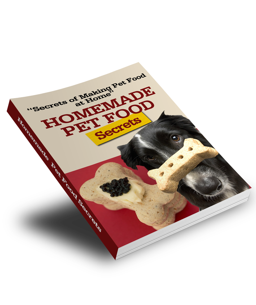 Dog &amp; Pet Care Starter Series – Part 5: Homemade Pet Food Secrets