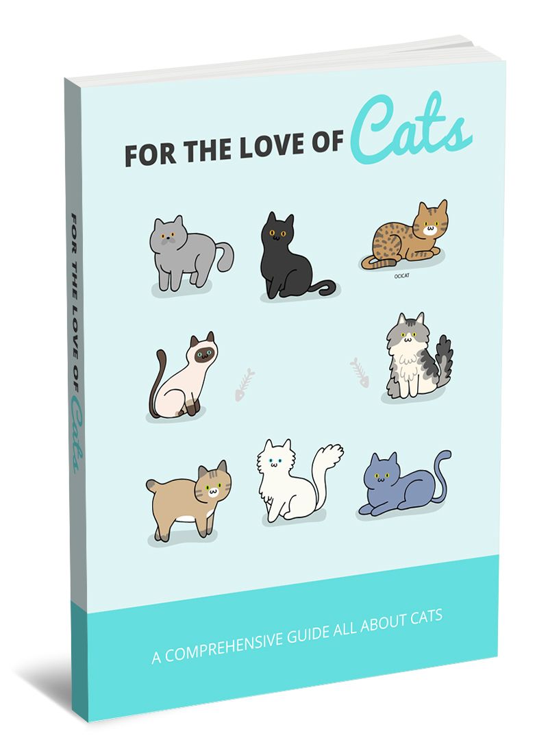 For the Love of Cats: Practical Guide to Cat Care, Comfort &amp; Everyday Needs